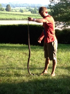 Nephew #1 Dangling The Snake