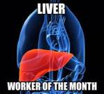Liver