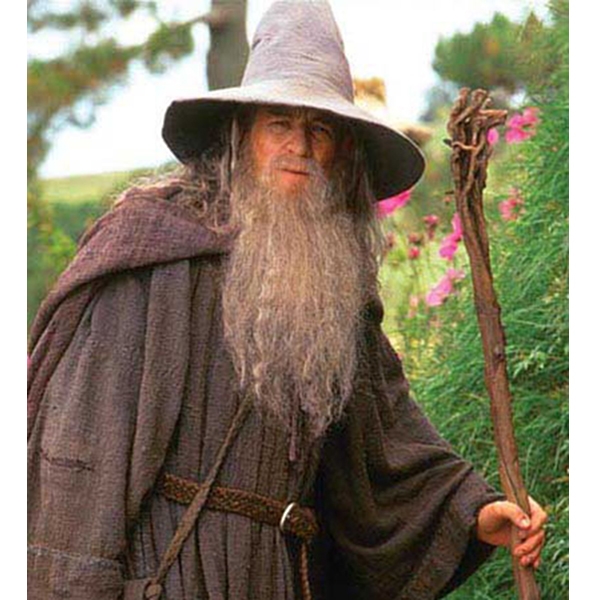 BM-GANDALF-2
