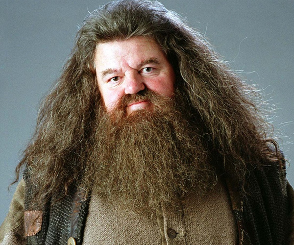rubeus-hagrid