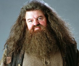 rubeus-hagrid