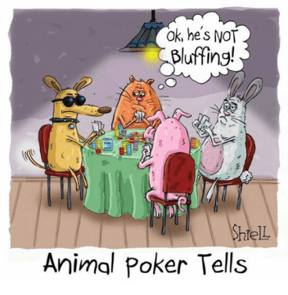 ok-he-s-not-bluffing-hlel-animal-poker-tells-6170765