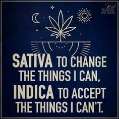 sativa